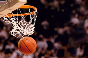 项目布局虽少但质量集中度高，项目布局是什么意思